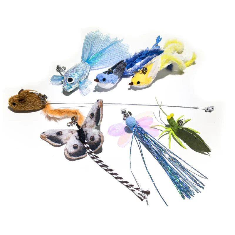 Rola Mini Cat Teaser